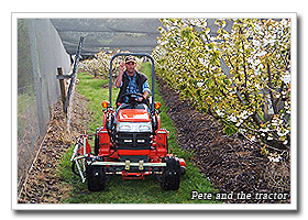 Pete and the tractor